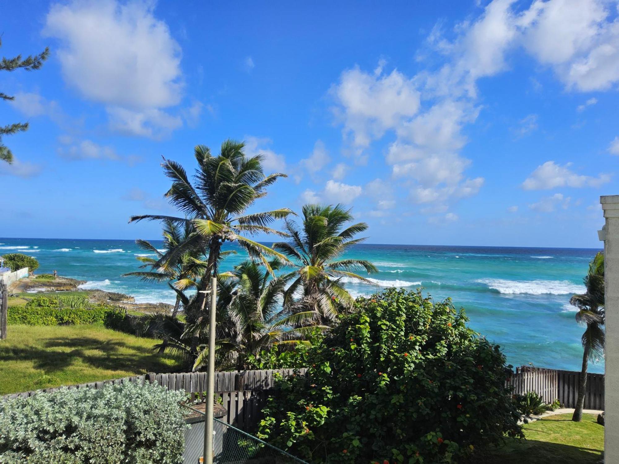 Ocean Bliss Apartments Крайст-Черч Экстерьер фото